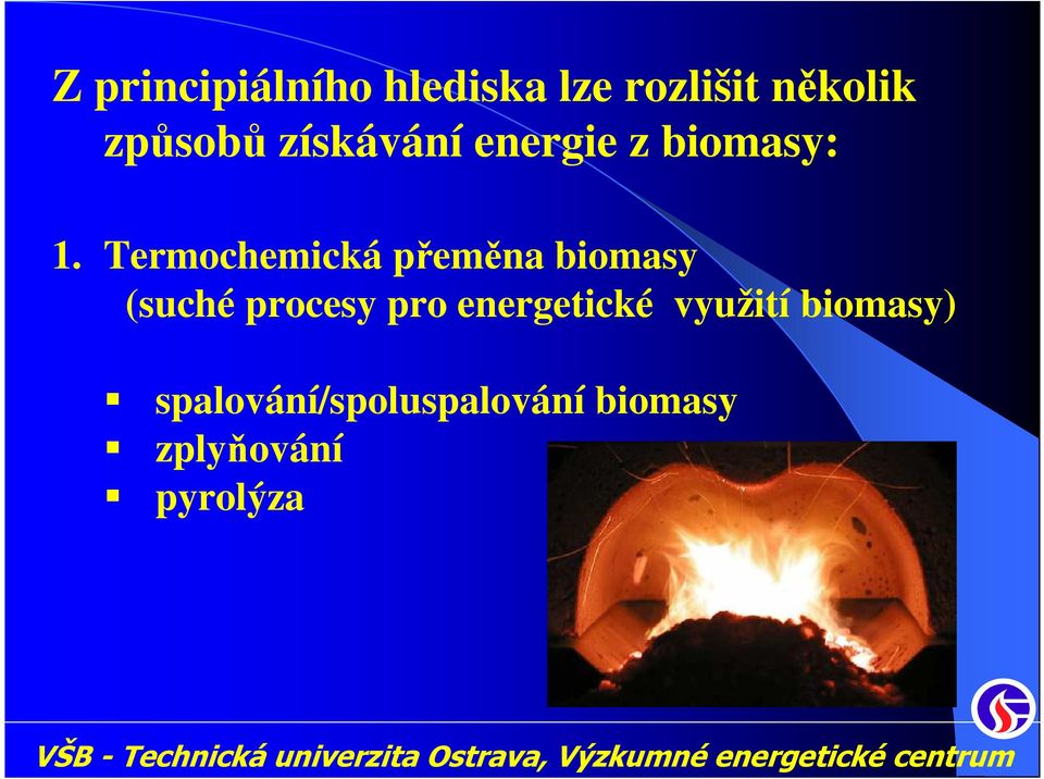 Termochemická přeměna biomasy (suché procesy pro