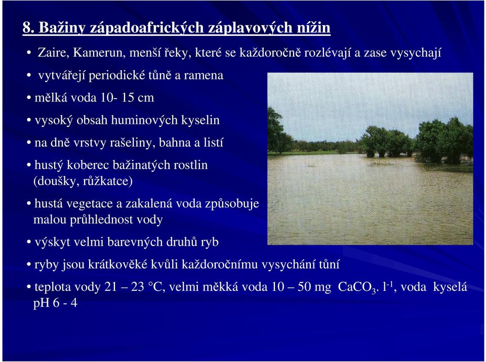 bažinatých rostlin (doušky, růžkatce) hustá vegetace a zakalená voda způsobuje malou průhlednost vody výskyt velmi barevných druhů