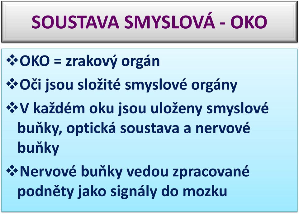 smyslové buňky, optická soustava a nervové buňky