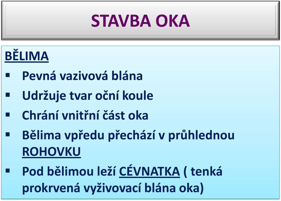 přechází v průhlednou ROHOVKU Pod bělimou leží