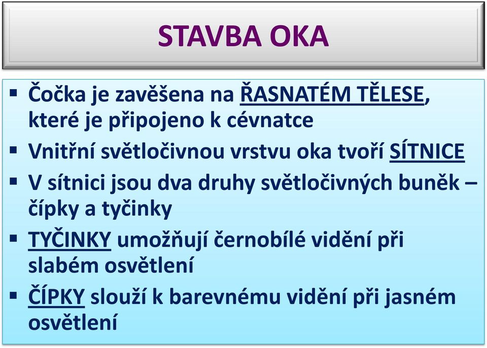 světločivných buněk čípky a tyčinky TYČINKY umožňují černobílé vidění