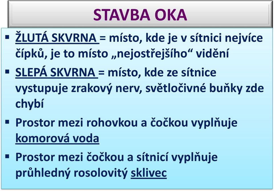 zrakový nerv, světločivné buňky zde chybí Prostor mezi rohovkou a čočkou