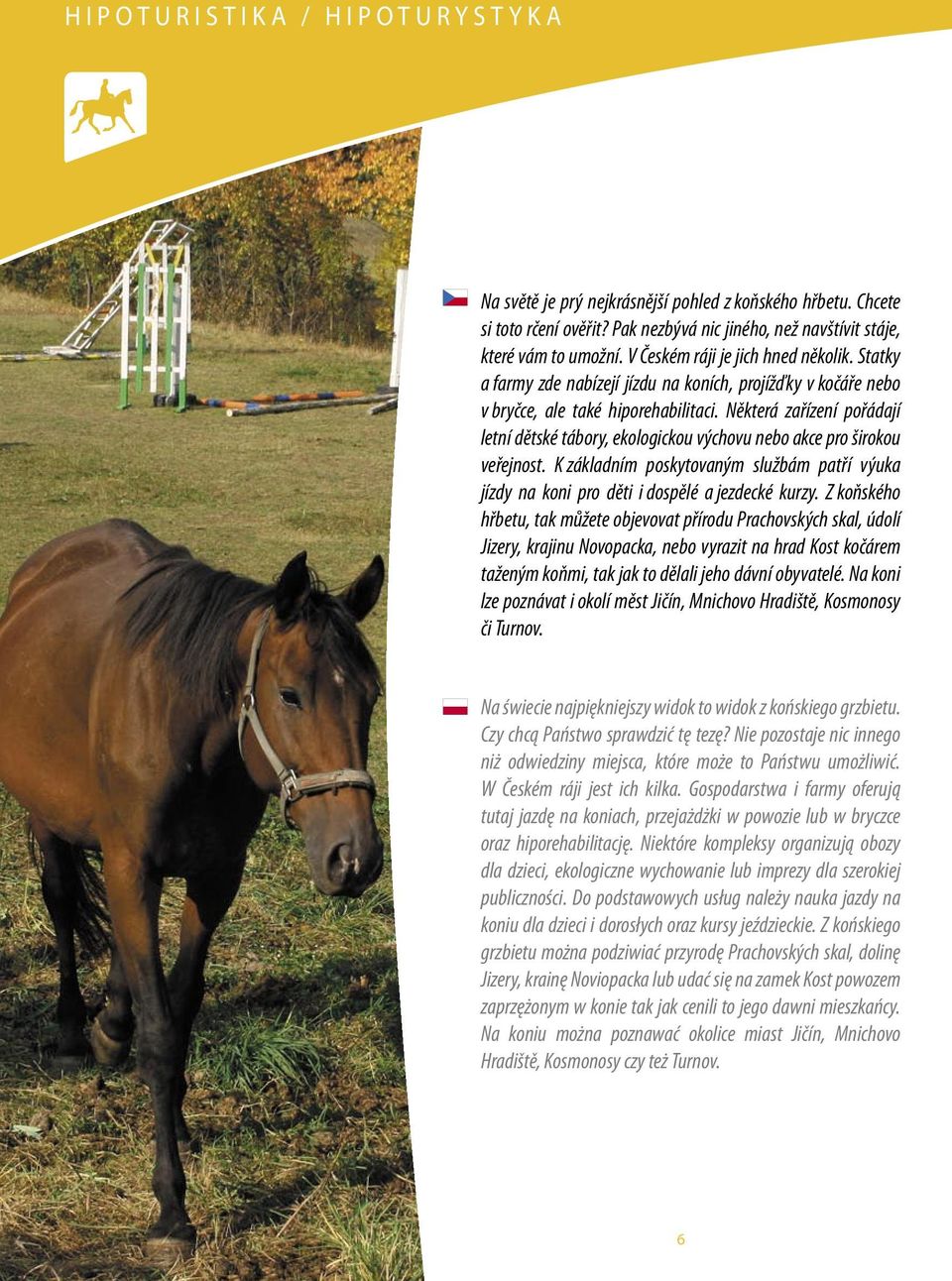 Statky a farmy zde nabízejí jízdu na koních, projížďky v kočáře nebo v bryčce, ale také hiporehabilitaci.