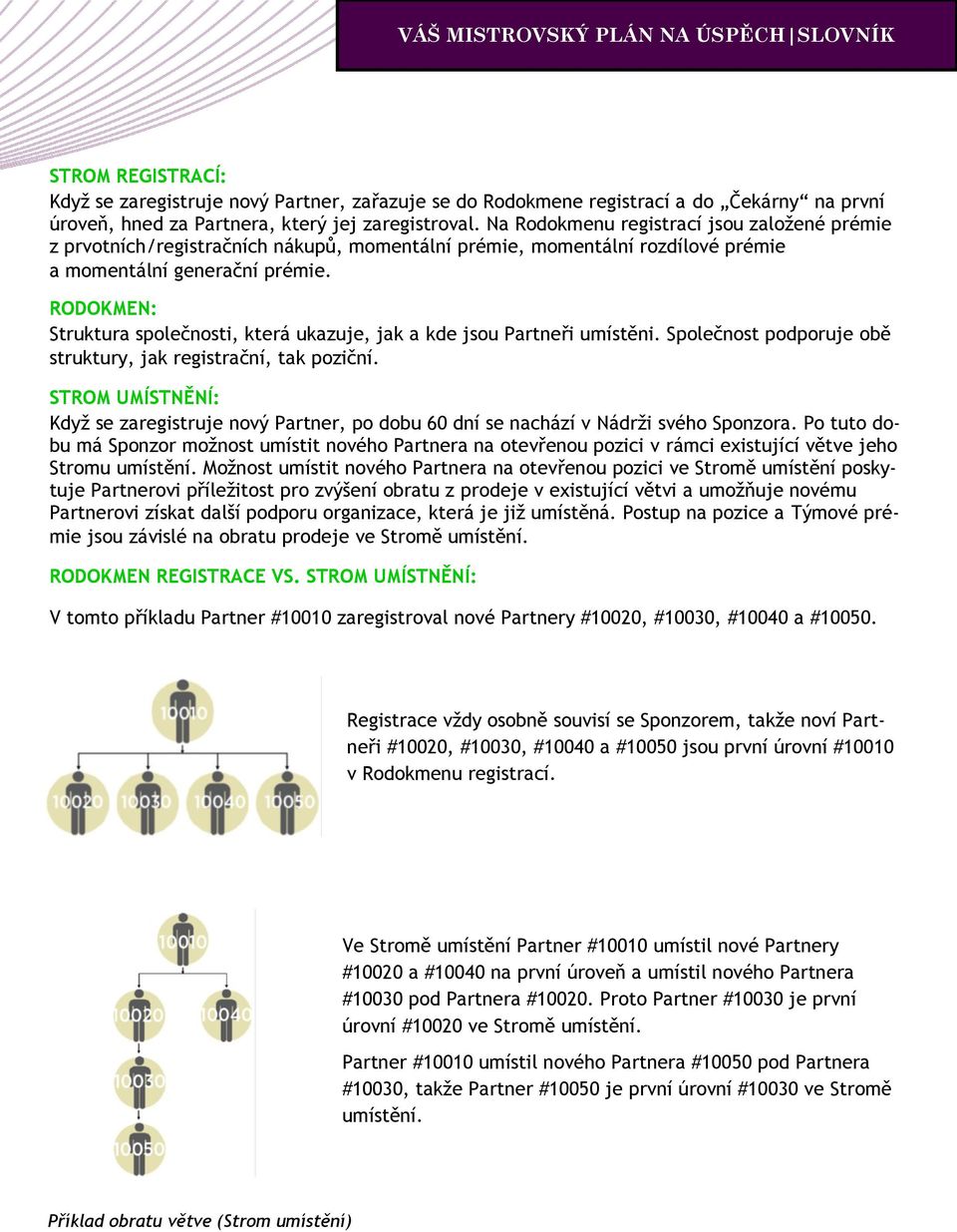 RODOKMEN: Struktura společnosti, která ukazuje, jak a kde jsou Partneři umístěni. Společnost podporuje obě struktury, jak registrační, tak poziční.