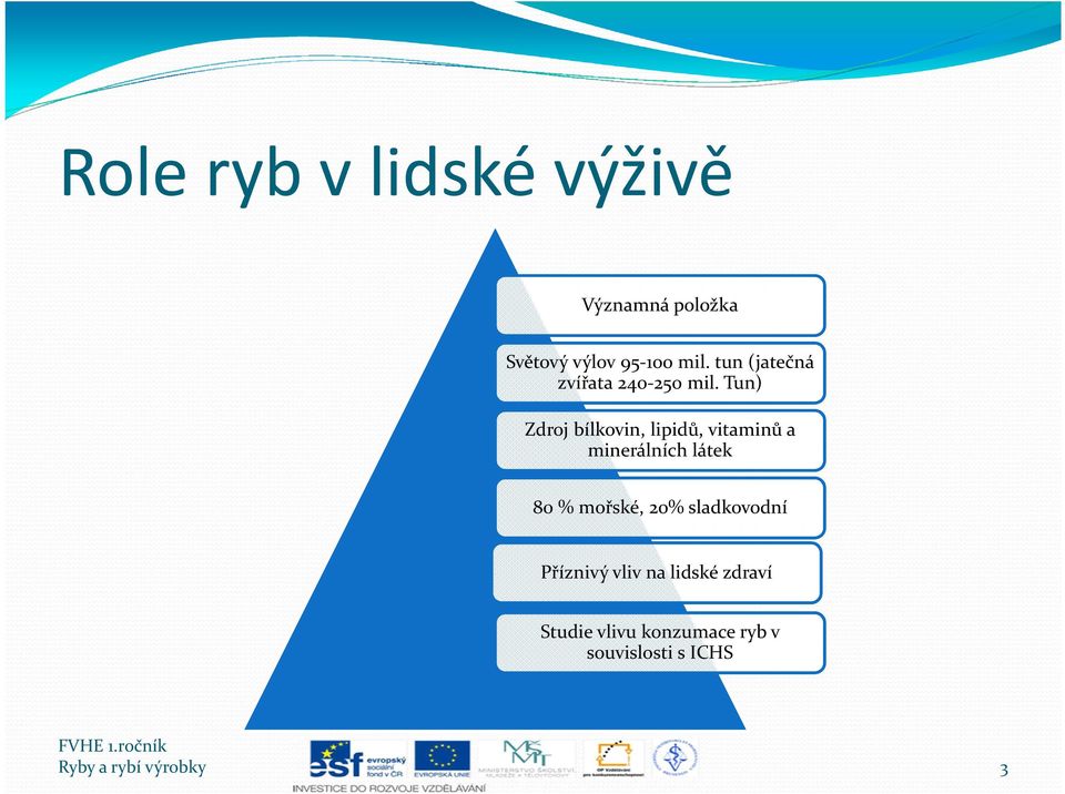 Tun) Zdroj bílkovin, lipidů, vitaminů a minerálních látek 80 % mořské, 20%