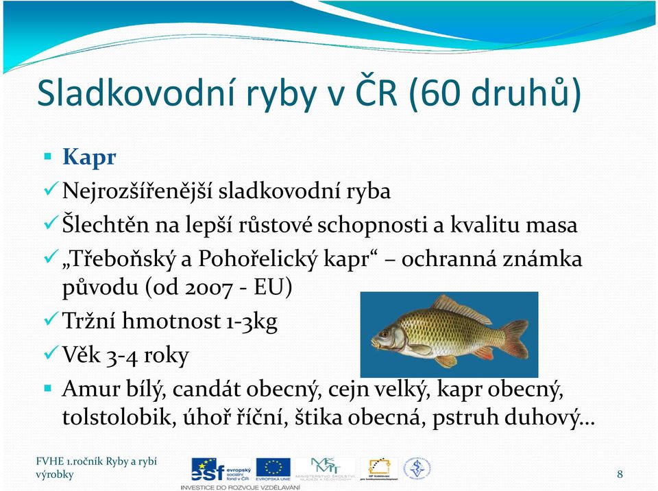 původu (od 2007 - EU) Tržní hmotnost 1-3kg Věk 3-4 roky Amur bílý, candát obecný,