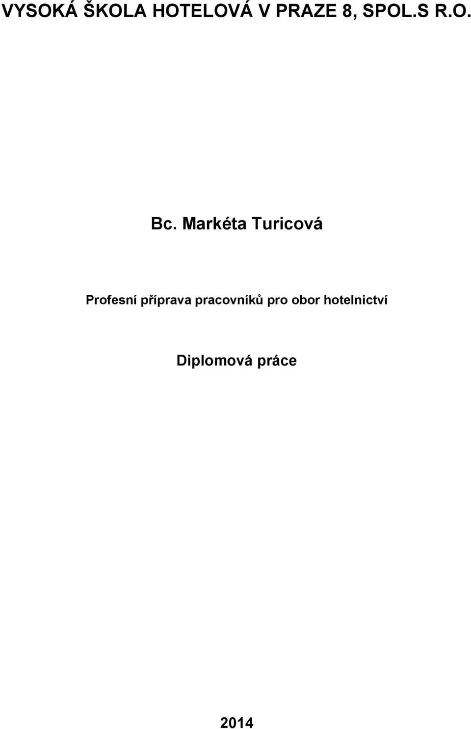 Markéta Turicová Profesní