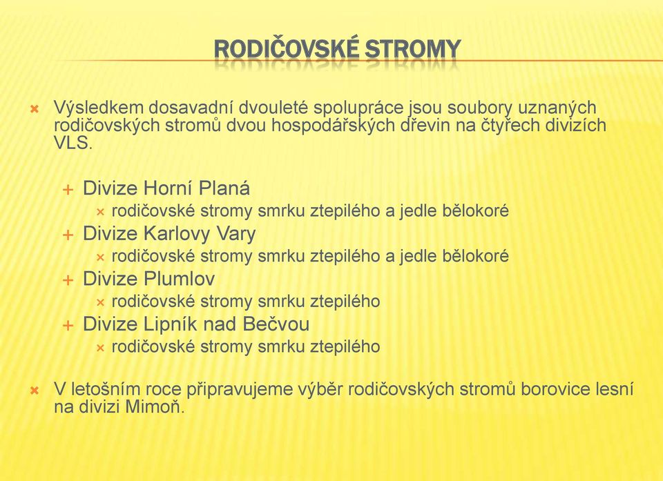 Divize Horní Planá rodičovské stromy smrku ztepilého a jedle bělokoré Divize Karlovy Vary rodičovské stromy smrku