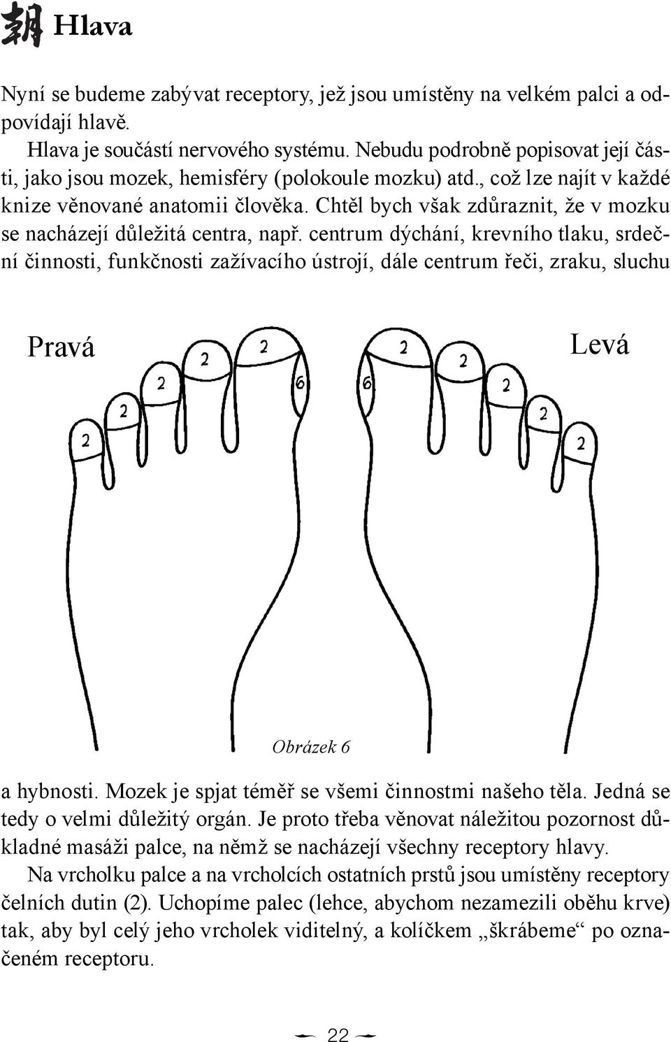 Chtěl bych však zdůraznit, že v mozku se nacházejí důležitá centra, např.