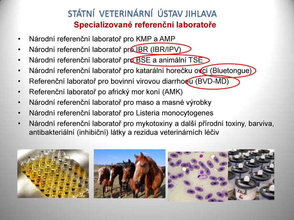 virovou diarrhoeu (BVD-MD) Referenční laboratoř po africký mor koní (AMK) Národní referenční laboratoř pro maso a masné výrobky Národní referenční laboratoř