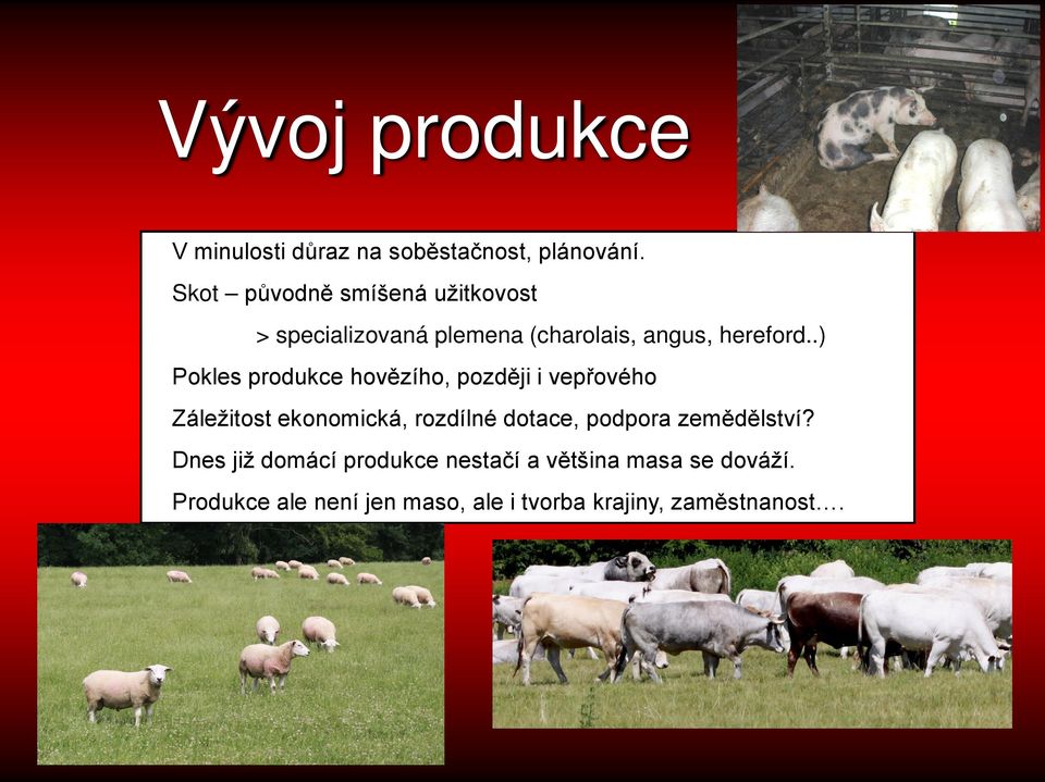 .) Pokles produkce hovězího, později i vepřového Záležitost ekonomická, rozdílné dotace,