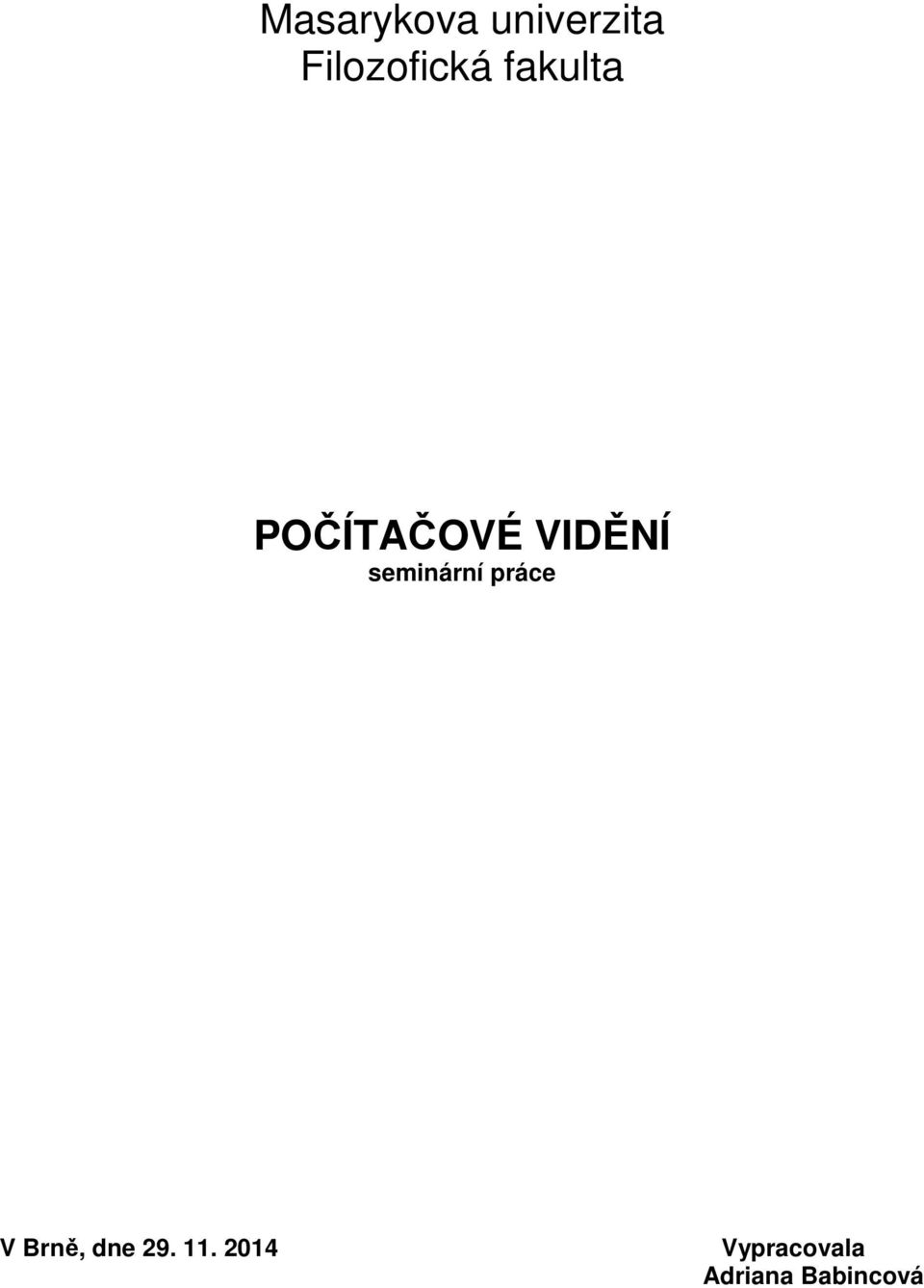 VIDĚNÍ seminární práce V Brně,