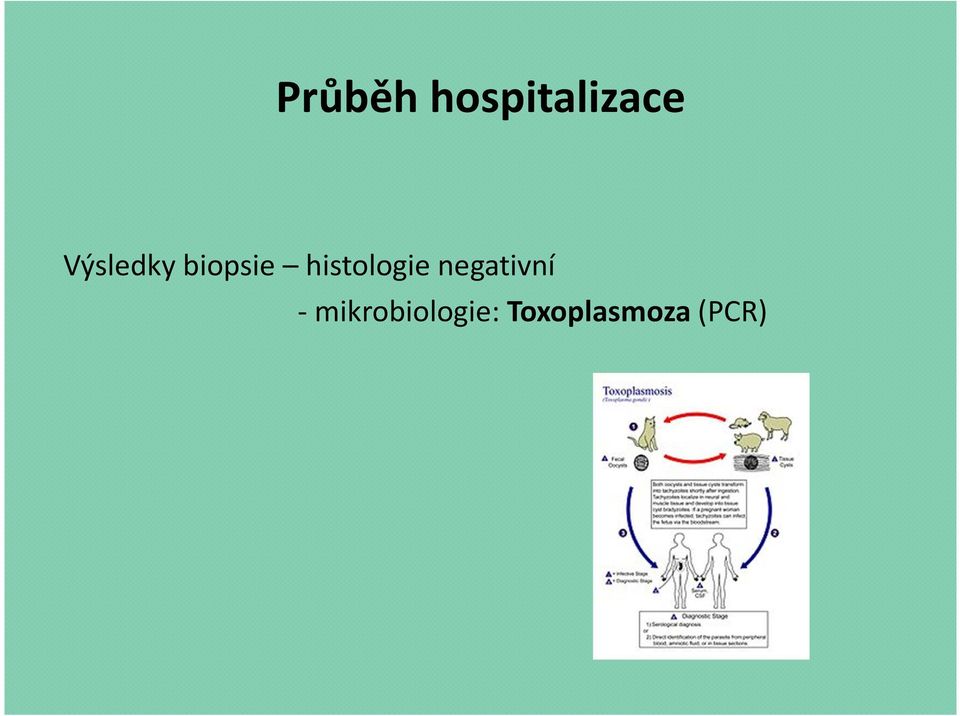 histologie negativní -