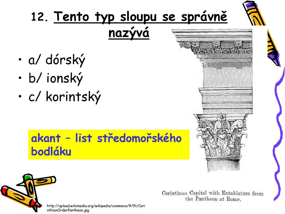 středomořského bodláku http://upload.wikimedia.