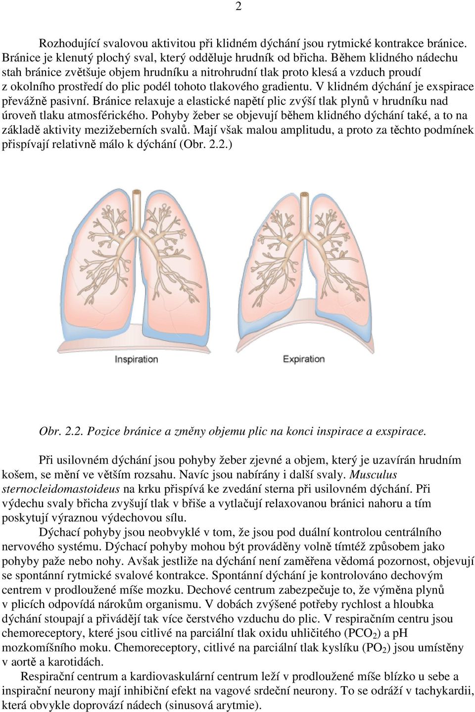 V klidném dýchání je exspirace převážně pasivní. Bránice relaxuje a elastické napětí plic zvýší tlak plynů v hrudníku nad úroveň tlaku atmosférického.
