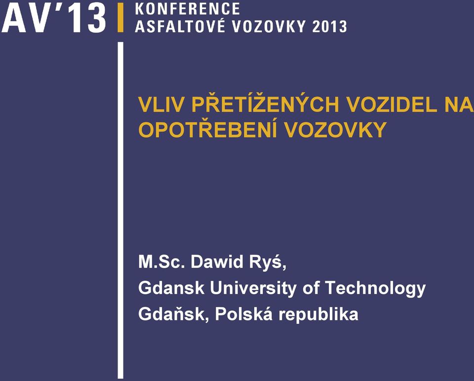 Dawid Ryś, Gdansk University