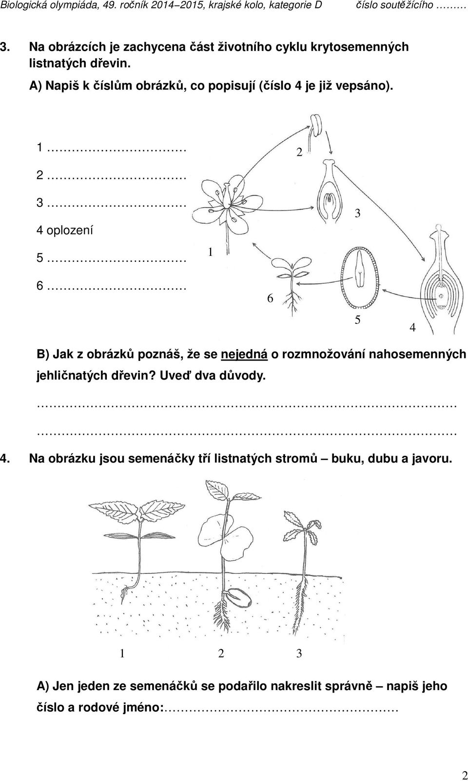 6 3 5 4 B) Jak z obrázků poznáš, že se nejedná o rozmnožování nahosemenných jehličnatých dřevin? Uveď dva důvody. 4. Na obrázku jsou semenáčky tří listnatých stromů buku, dubu a javoru.