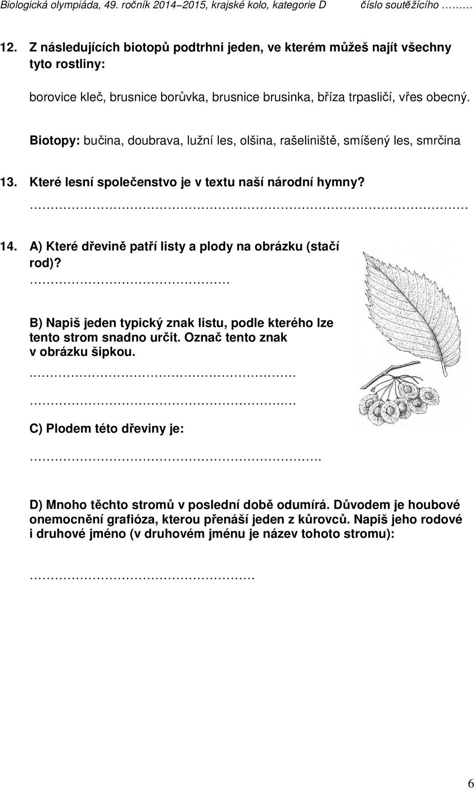 A) Které dřevině patří listy a plody na obrázku (stačí rod)? B) Napiš jeden typický znak listu, podle kterého lze tento strom snadno určit. Označ tento znak v obrázku šipkou.