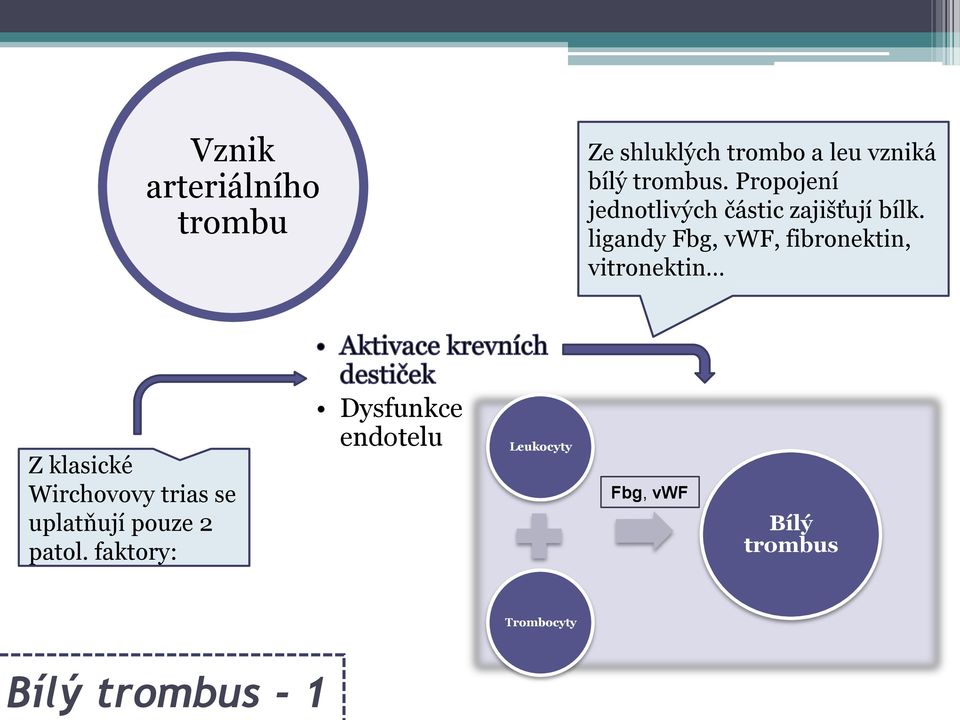 ligandy Fbg, vwf, fibronektin, vitronektin Z klasické Wirchovovy trias se