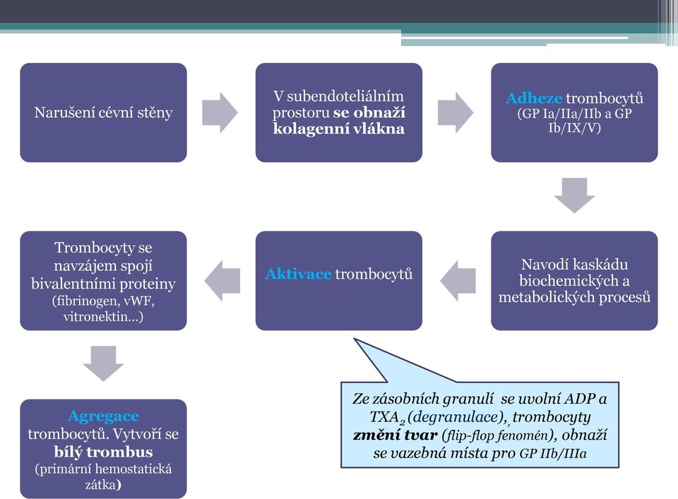 biochemických a metabolických procesů Agregace trombocytů.