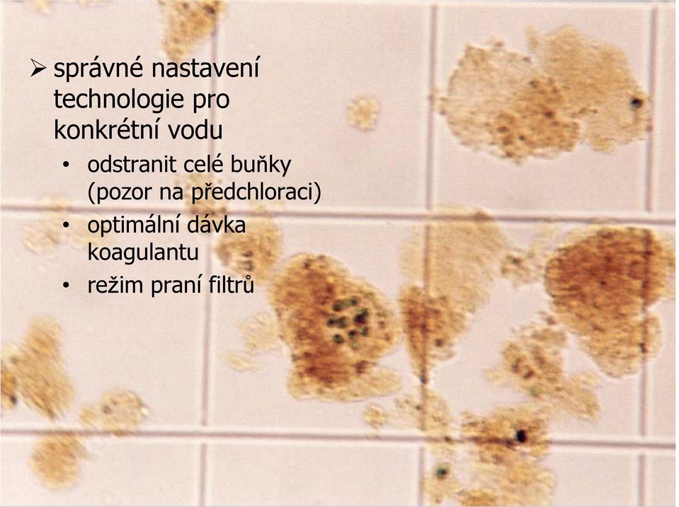 buňky (pozor na předchloraci)