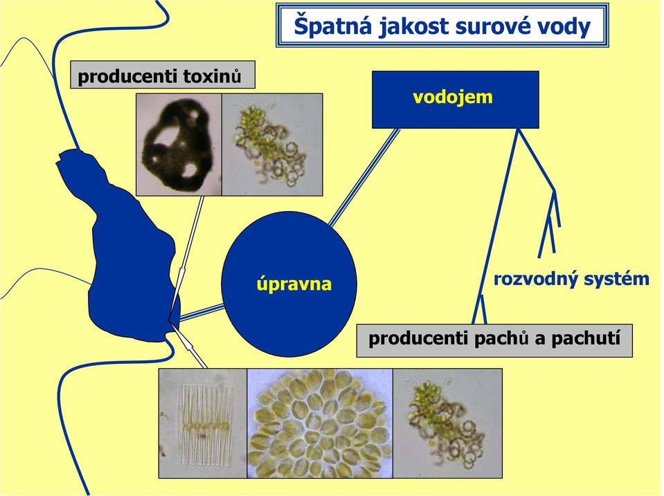 úpravna rozvodný systém