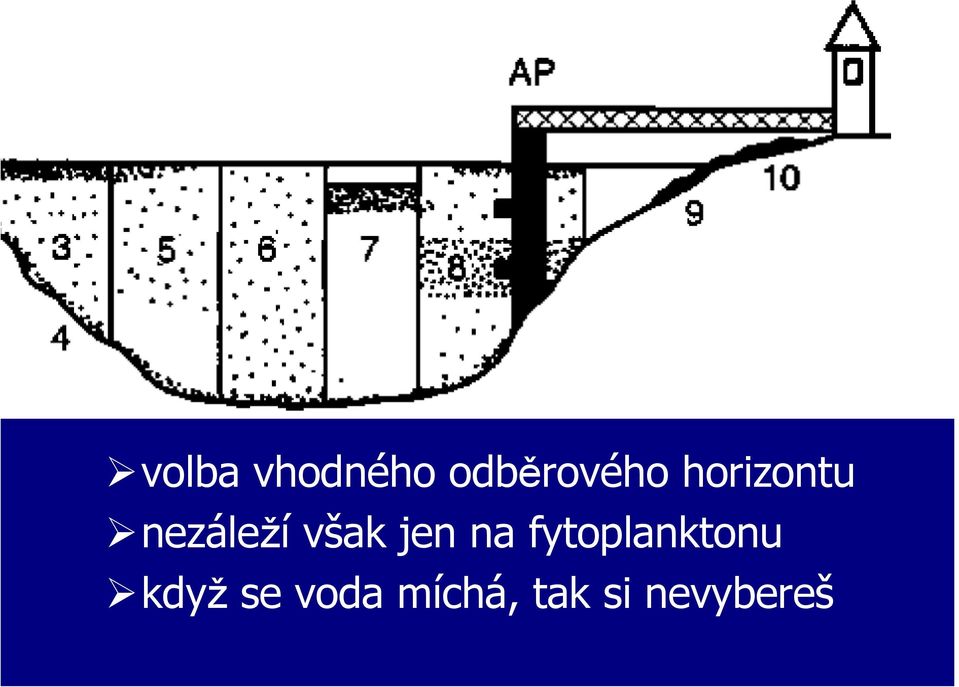 jen na fytoplanktonu když