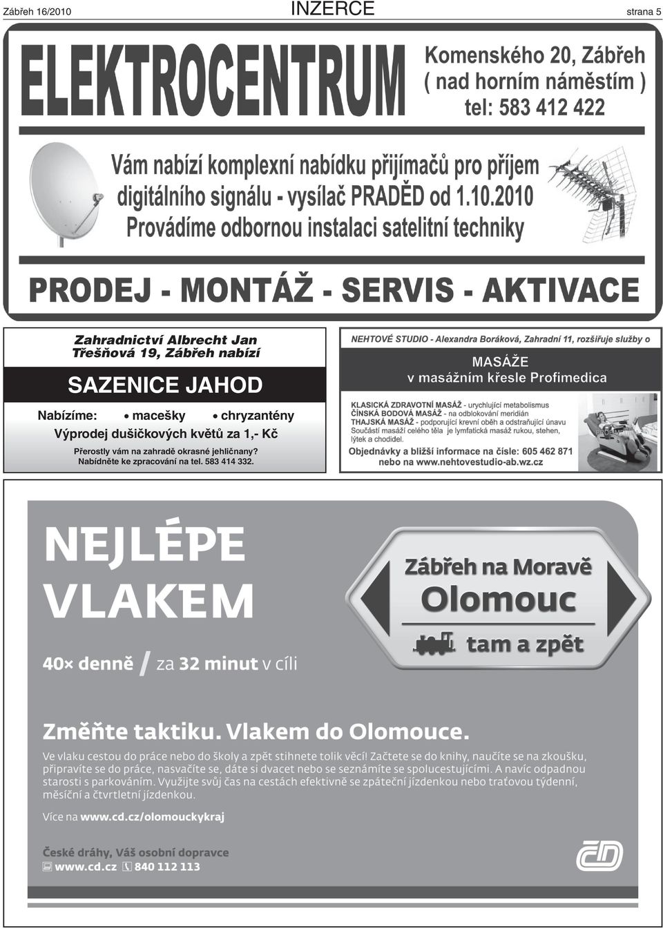 Výprodej dušičkových květů za 1,- Kč Přerostly vám na