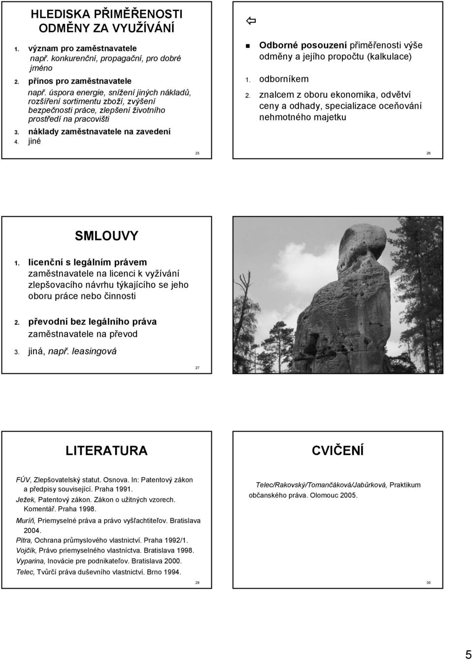 jiné Odborné posouzení přiměřenosti výše odměny a jejího propočtu (kalkulace) 1. odborníkem 2.