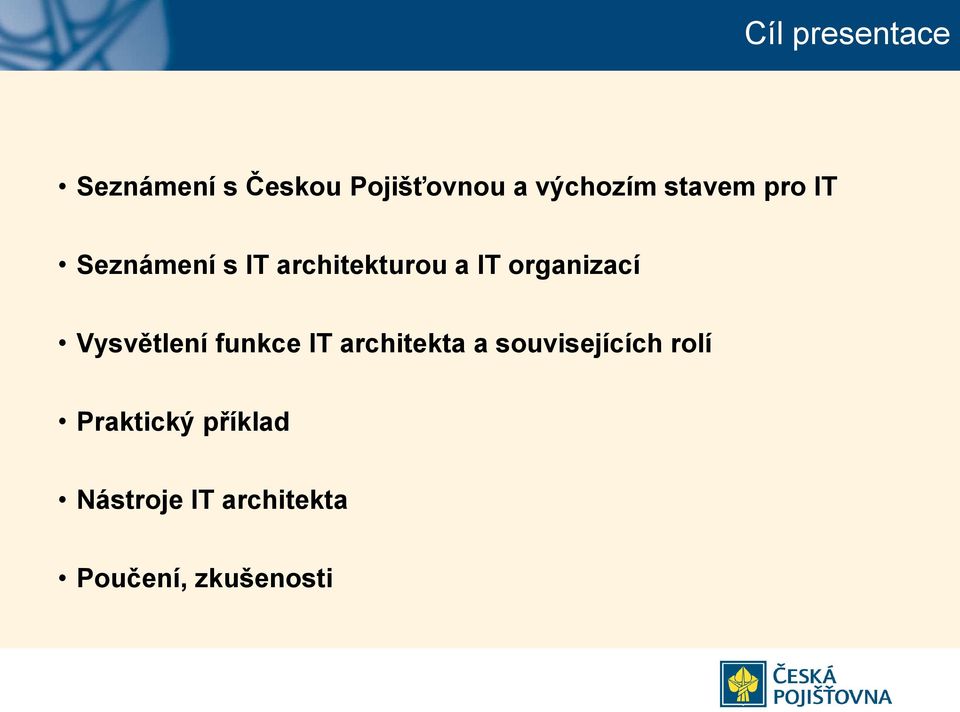 organizací Vysvětlení funkce IT architekta a