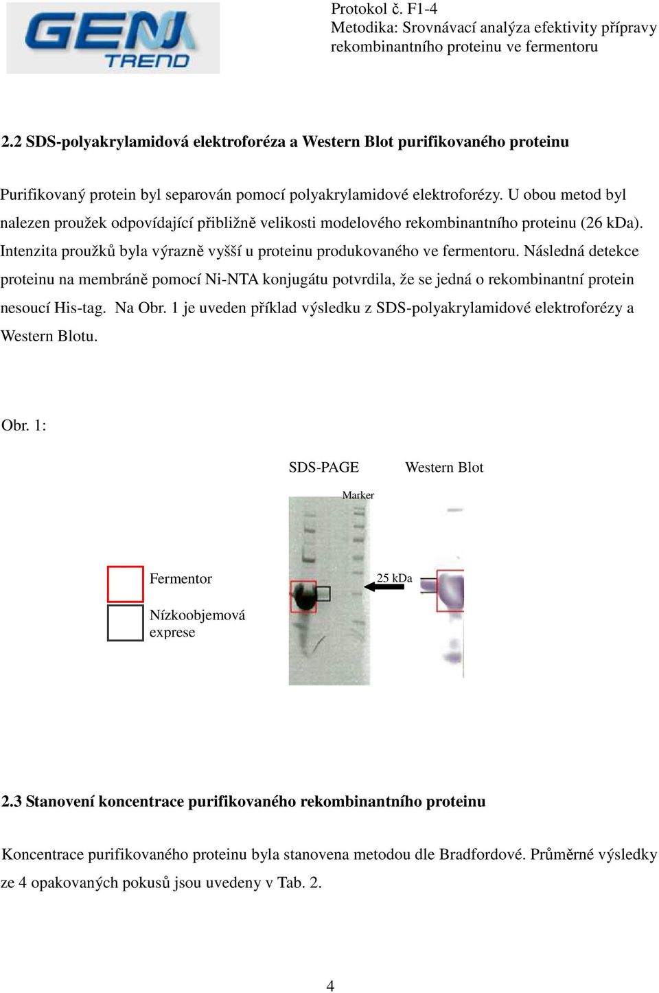 Následná detekce proteinu na membráně pomocí Ni-NTA konjugátu potvrdila, že se jedná o rekombinantní protein nesoucí His-tag. Na Obr.