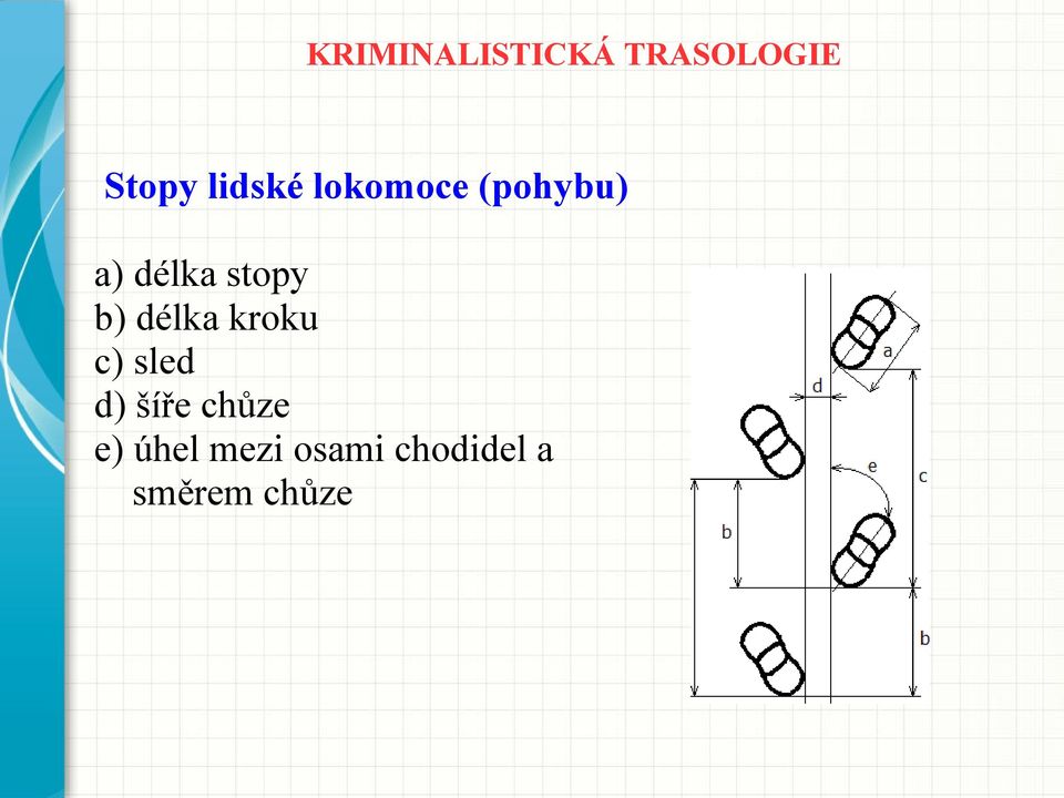 c) sled d) šíře chůze e) úhel