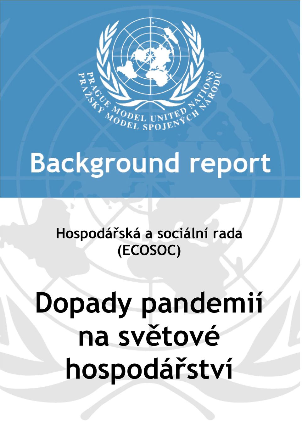 rada (ECOSOC) Dopady