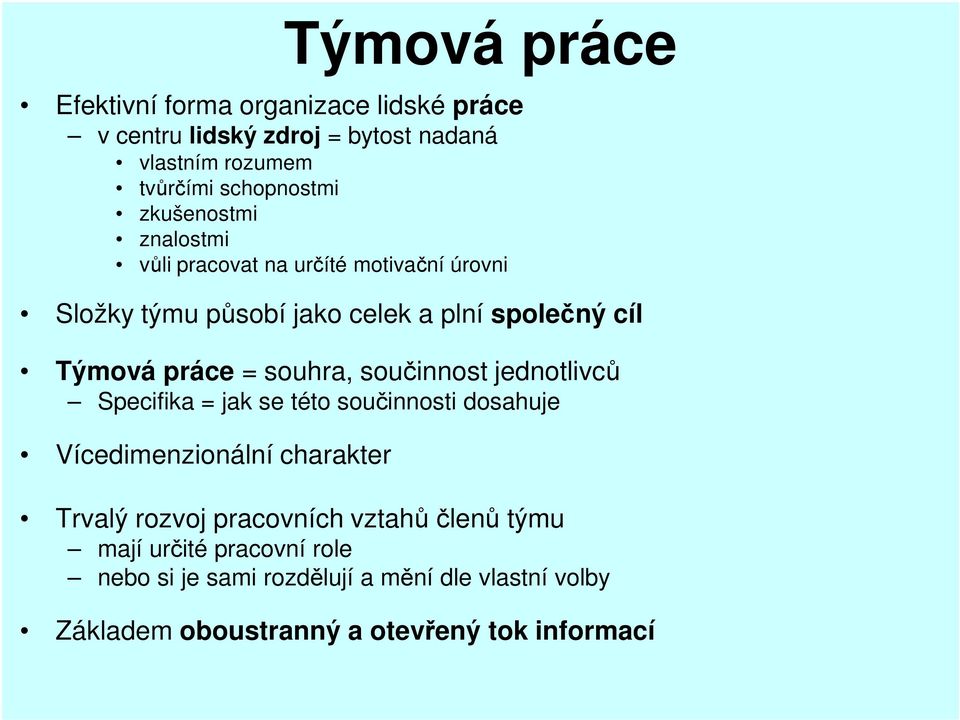 souhra, součinnost jednotlivců Specifika = jak se této součinnosti dosahuje Vícedimenzionální charakter Trvalý rozvoj pracovních