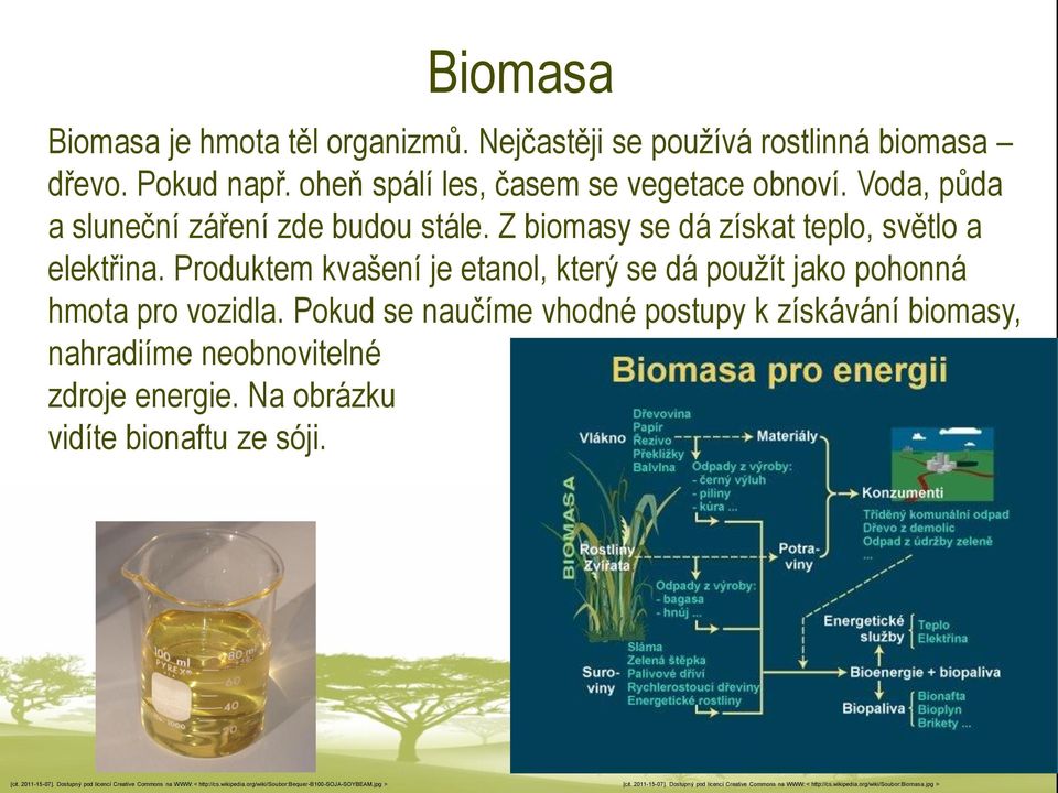 Pokud se naučíme vhodné postupy k získávání biomasy, nahradiíme neobnovitelné zdroje energie. Na obrázku vidíte bionaftu ze sóji. [cit. 2011-15-07].