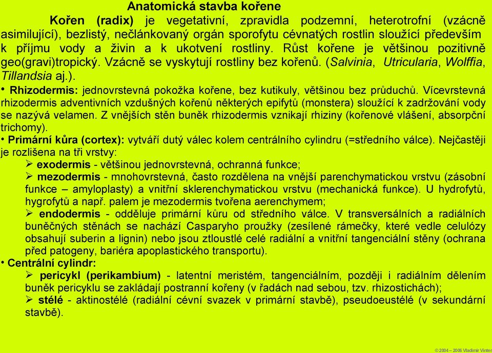 Vícevrstevná rhizodermis adventivních vzdušných kořenů některých epifytů (monstera) sloužící k zadržování vody se nazývá velamen.