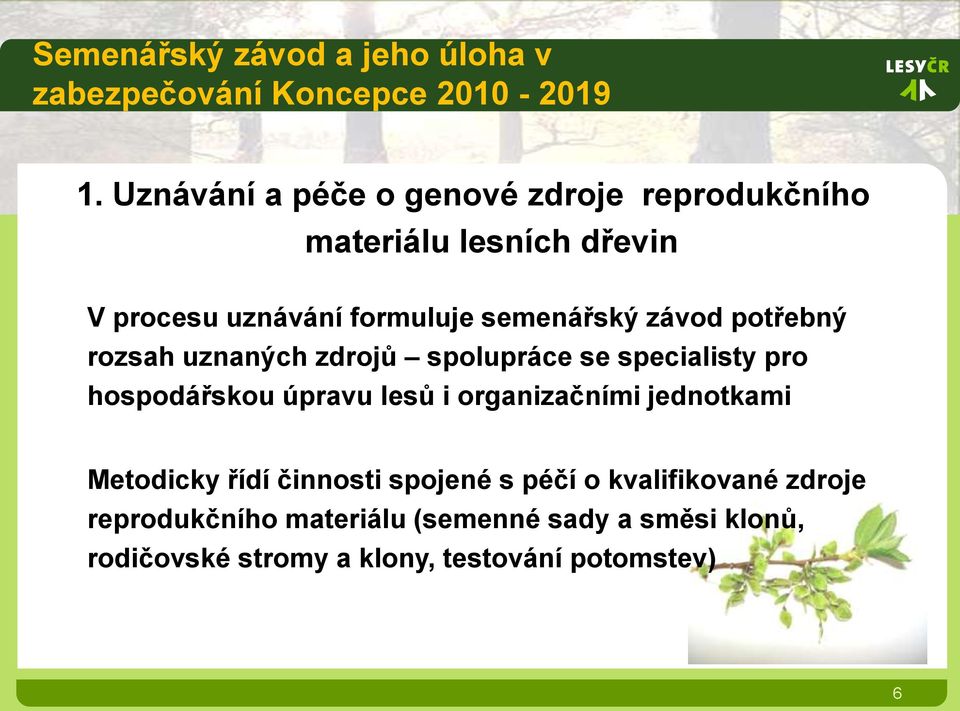 hospodářskou úpravu lesů i organizačními jednotkami Metodicky řídí činnosti spojené s péčí o