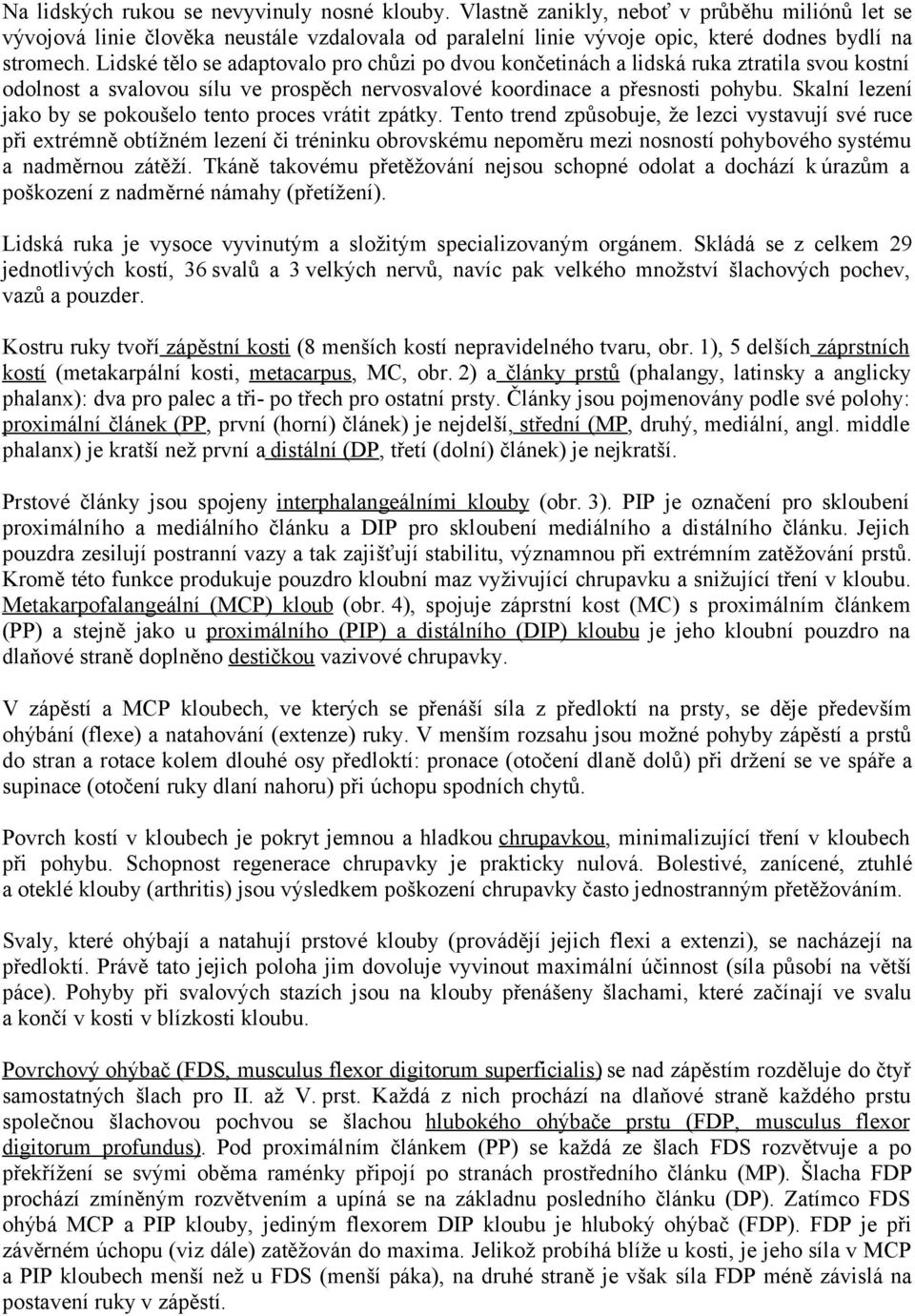 Skalní lezení jako by se pokoušelo tento proces vrátit zpátky.