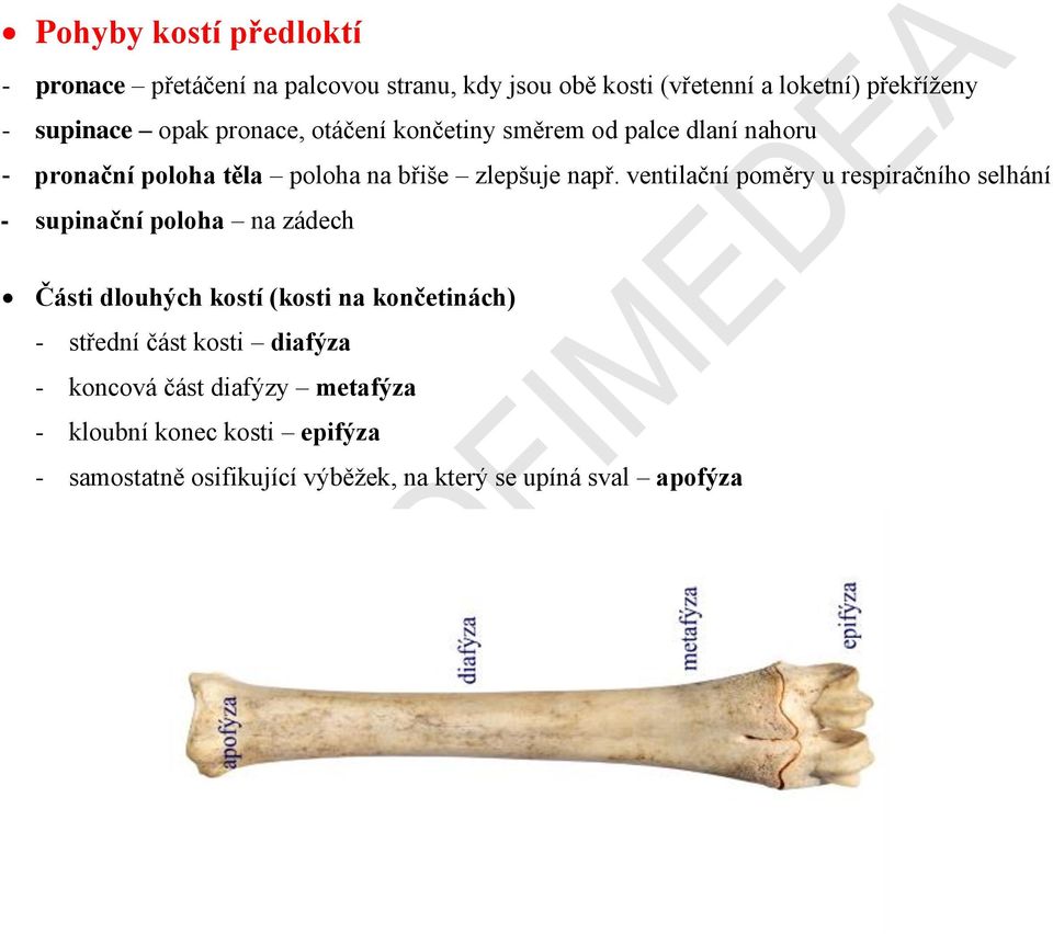 ventilační poměry u respiračního selhání - supinační poloha na zádech Části dlouhých kostí (kosti na končetinách) - střední