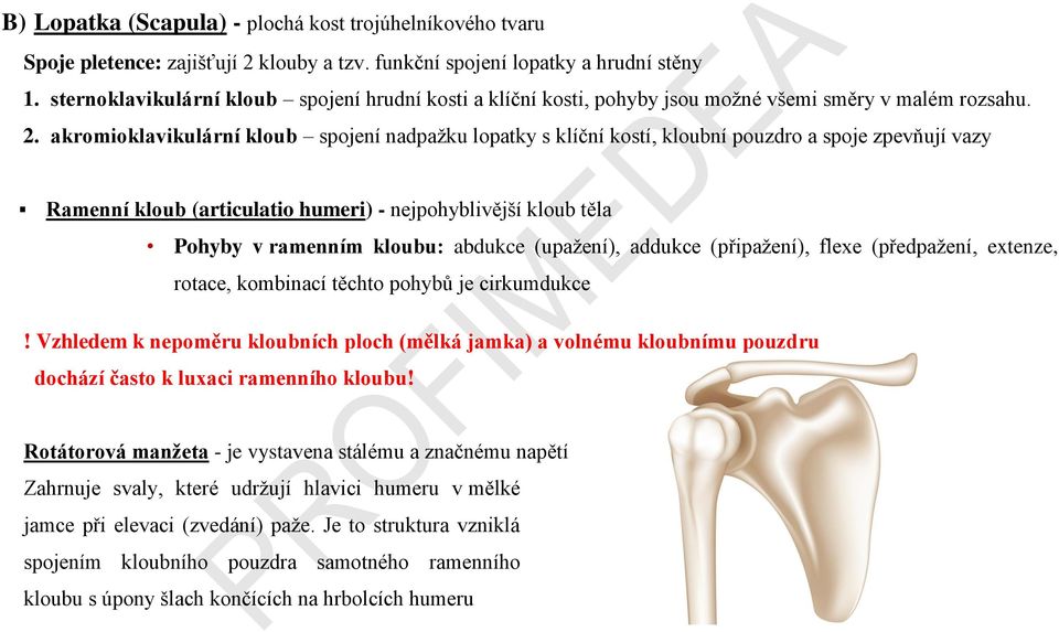 akromioklavikulární kloub spojení nadpažku lopatky s klíční kostí, kloubní pouzdro a spoje zpevňují vazy Ramenní kloub (articulatio humeri) - nejpohyblivější kloub těla Pohyby v ramenním kloubu: