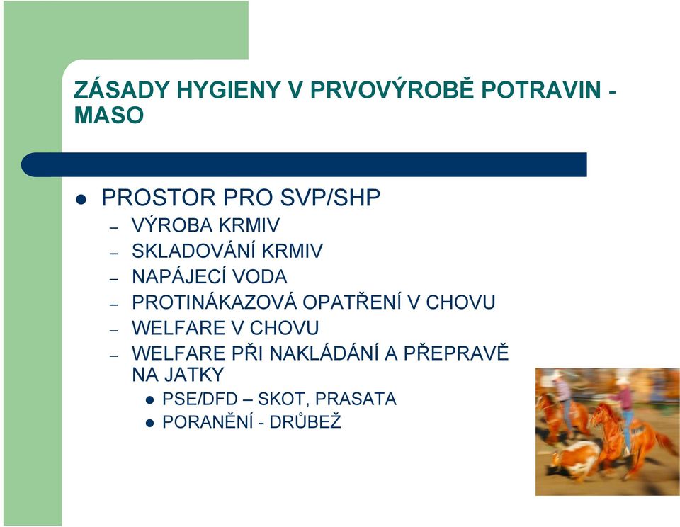 CHOVU WELFARE V CHOVU WELFARE PŘI NAKLÁDÁNÍ A