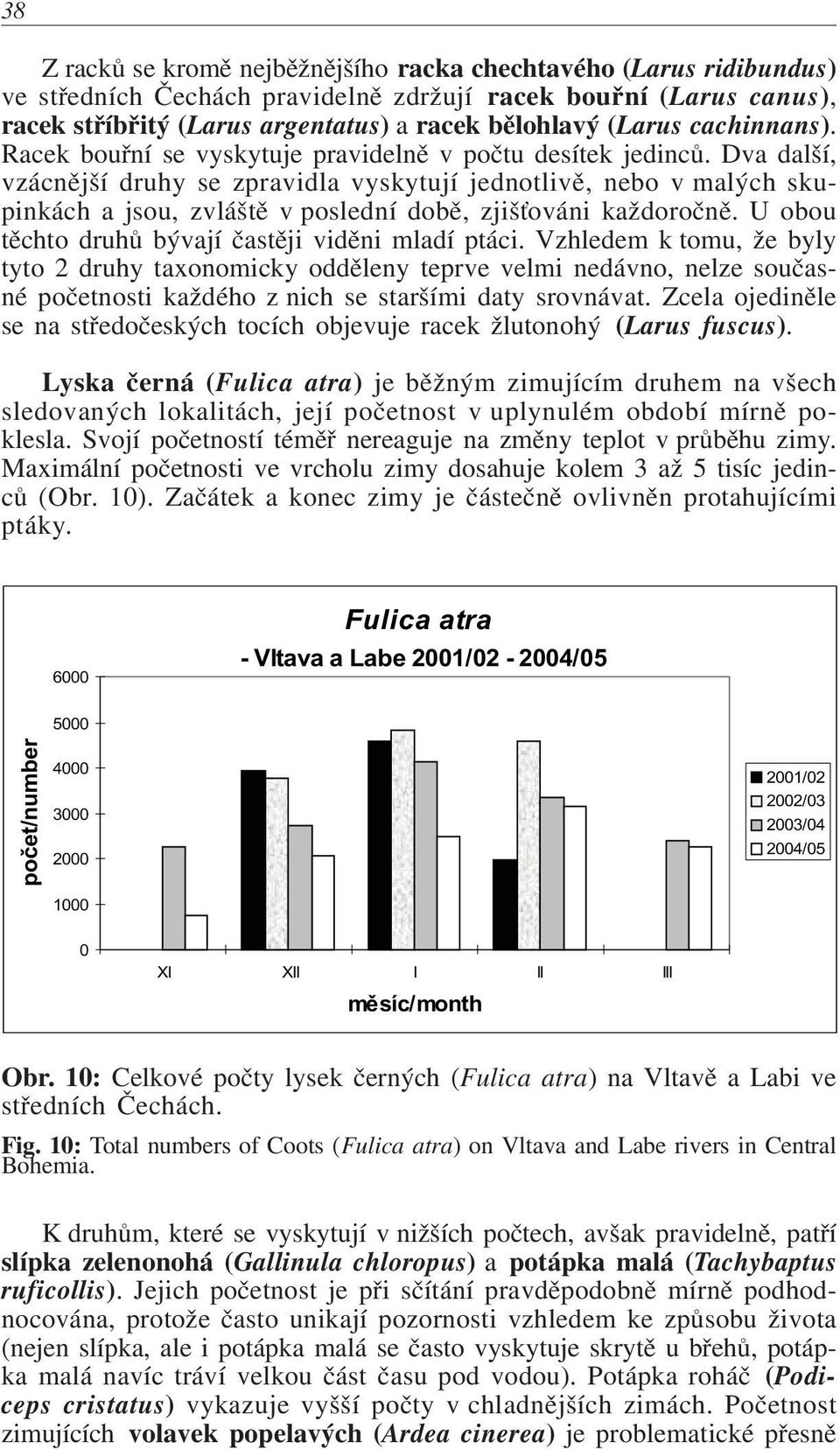 Dva další, vzácnìjší druhy se zpravidla vyskytují jednotlivì, nebo v malých skupinkách a jsou, zvláštì v poslední dobì, zjiš ováni každoroènì. U obou tìchto druhù bývají èastìji vidìni mladí ptáci.