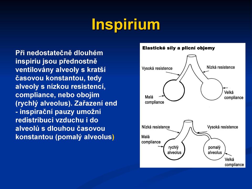 compliance, nebo obojím (rychlý alveolus).