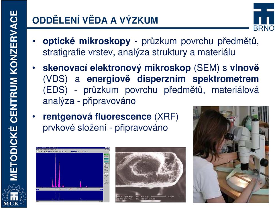 (VDS) a energiově disperzním spektrometrem (EDS) - průzkum povrchu předmětů,