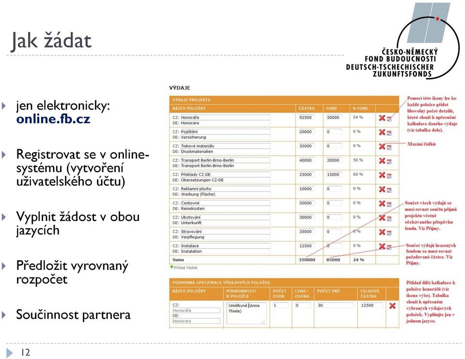 uživatelského účtu) Vyplnit žádost v obou