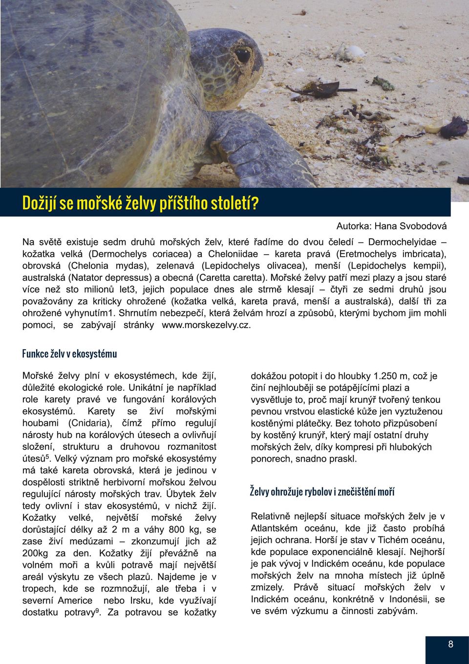 imbricata), obrovská (Chelonia mydas), zelenavá (Lepidochelys olivacea), menší (Lepidochelys kempii), australská (Natator depressus) a obecná (Caretta caretta).