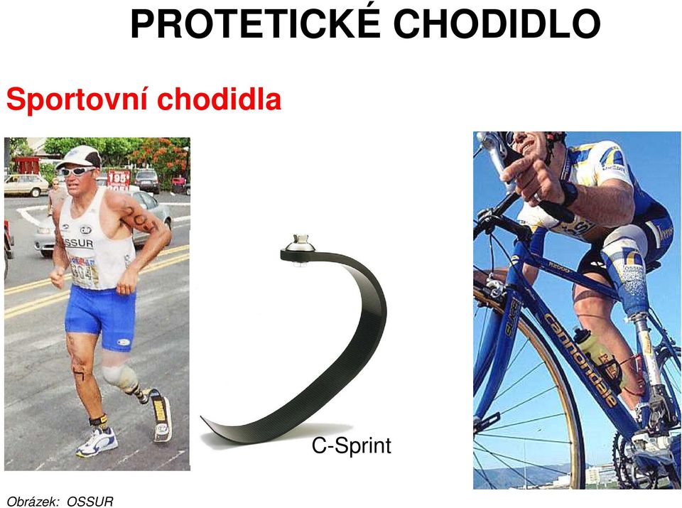 Sportovní