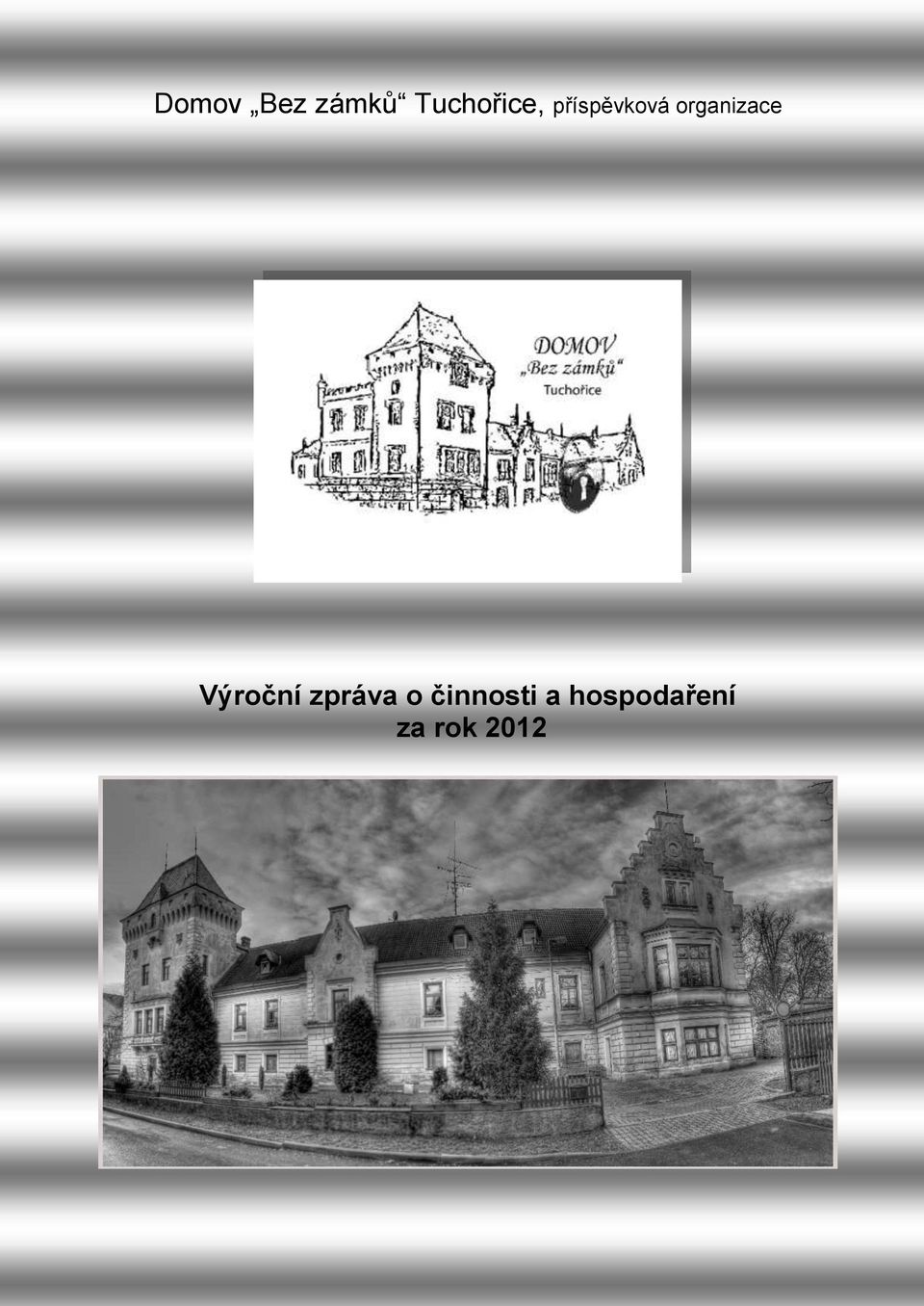 organizace Výroční zpráva