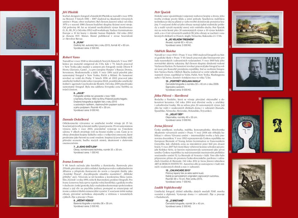 Od roku 1992 vedl workshopy Nadace Germinations Europe a 10 let kursy v dánské Samsø Højskole. Od roku 2002 je členem SVU Mánes. Básně publikoval v revue Souvislosti a v Revolver Revue. Robert Vano 5.