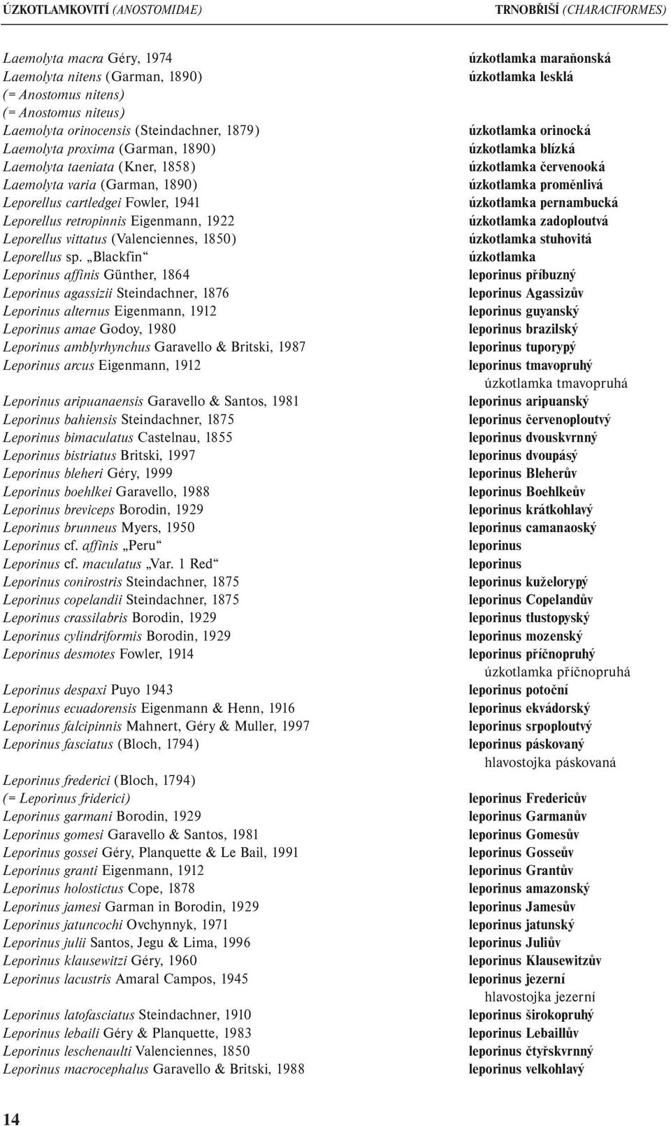 úzkotlamka proměnlivá Leporellus cartledgei Fowler, 1941 úzkotlamka pernambucká Leporellus retropinnis Eigenmann, 1922 úzkotlamka zadoploutvá Leporellus vittatus (Valenciennes, 1850) úzkotlamka